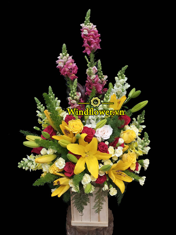 A0424-windflower