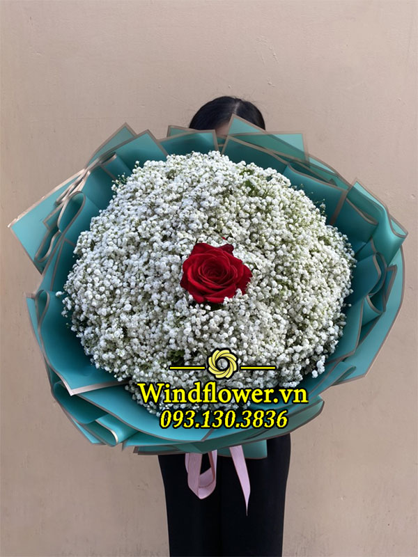A0677-windflower