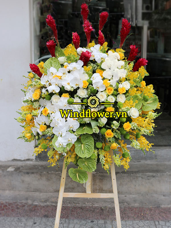 B0101-windflower