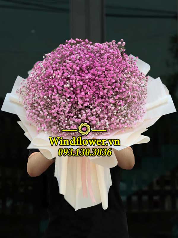 A0856-windflower