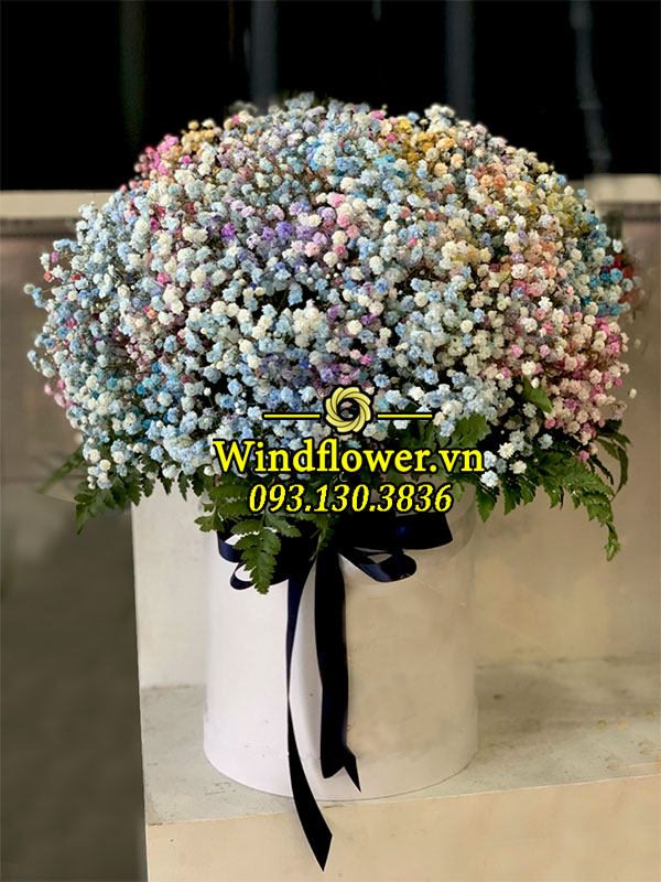 A0896-windflower