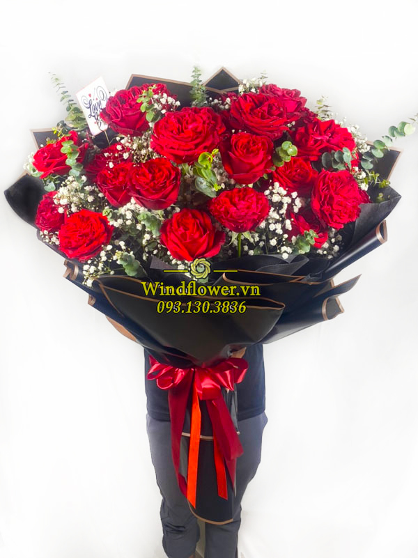 WB-012b